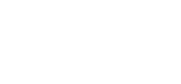 fly internationwhite transparent